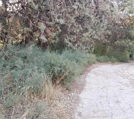 Casa Nel Hébergement de vacances Terni